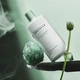 Солнцезащитное молочко для лица и тела Skin1004 Madagascar Centella Tea Trica Soothing Sun Milk SPF 50+ PA 50 мл - изображение 3