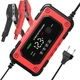 Зарядное устройство Foxsur FBC1207E Red [175028] - изображение 3