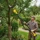 Аккумуляторный набор мини-пила 6" + секатор + высоторез 2 м, 2 АКБ 48 В, желтый - изображение 7