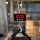 Электронные крановые весы, до 1000 кг (0,1 кг), на аккумуляторе, BX-9026 Boxer, Оранжевый / Электронные весы / Электронный кантер - изображение 1