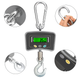 Электронные крановые весы, до 500 кг (0,1 кг), на аккумуляторе, BX-9025 Boxer, Серый / Электронные весы / Электронный крановый вес - изображение 4
