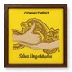 Картина Tiferet-NF з вишивкою Мудра Shiva Linga Mudra 24×24 см дерев'яна рама з антивідблисковим склом (NF0043-2) - изображение 1
