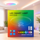 Люстра светодиодная потолочная RGB с Bluetooth колонкой потолочная светодиодная лампа с пультом с RGB подсветкой и динамиком смарт люстра с будильником светомузыкой лампа с колонкой 60W Kayfovo LA - 83 - изображение 12