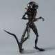Фигурка Alien Romulus Scorched Xenomorph 25 см — Коллекционная игрушка-монстр Чужой Ромул в подарочной упаковке - изображение 9