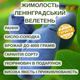 Саджанці жимолості їстівної Ленінградський Велетень - рання, крупноплідна, врожайна - зображення 2
