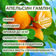 Саженцы апельсина Гамлин (Hamlin) - ранний, холодостойкий, сладкий - изображение 4