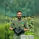 Саженцы Бересклета Форчуна Эмеральд Гаети (Euonymus fortunei Emerald Gaiety) Р9 - изображение 4