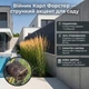 Саженцы Вейника остроцветкового Карл Форстер (Calamagrostis acutiflora Karl Foerster) Р9 - изображение 6