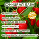 Саджанці суниці Алі Баба (полуниці) - ремонтантна, врожайна - изображение 5