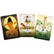 Карти Оракул Пори року відьми Бельтайн Seasons of the Witch Beltane Oracle магічна колода 44 карти - зображення 4