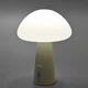 LED настольная лампа с аккумулятором VIDEX VL-TF25BG 4W 3000-6500K+RGB Beige 29236 - изображение 7
