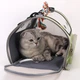 Сумка переноска для кота кошки котенка собаки домашних животных до 8 кг прозрачная с ремешком на плечо кошачьи сумки для переноски котов кошек собак котят зеленая 45×28×28 см (002293) - изображение 15
