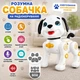 Собачка на радиоуправлении, озвучивание англ. языке, истории, танцы, сенсорный участок, подсветка глаз, голосовое управление, распознавание языка, запись голоса Желтый (i7-196404) - изображение 1