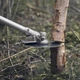 Мотокоса-кущоріз Husqvarna 545F, диск Scarlett 225-24, підвіска Balance X (9678845-02) - зображення 3