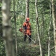 Мотокоса-кущоріз Husqvarna 545F, диск Scarlett 225-24, підвіска Balance X (9678845-02) - зображення 4