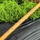 Упругая кисть для каллиграфии и живописи колонок/волк Большая с бамбуковой основой - изображение 2