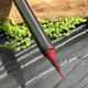 Тонкая кисть для каллиграфии и живописи из колонка 2см - изображение 3
