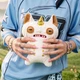 М'яка плюшева іграшка Монстр Кіт Зморшик Смердючко Fuggler Funny Ugly Monster Fugglercorns Wrinkle Mcstinkles (157114B) - изображение 5