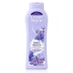 Гель для душа Tulipan Negro Shower Gel - Sweet Violeta (650 мл) - изображение 1