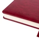 Деловой блокнот твердый А5 датированный 2027 Leo Planner Vector 252757 368 листов бордовый - изображение 10