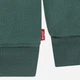 Детский теплый спортивный костюм (худи + штаны) Levi`s 726554103 80 см Зеленый (1159860178) - изображение 3