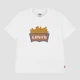 Дитяча футболка для хлопчика Levi`s 123239883 104 см Біла (1159865288) - зображення 1