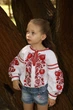 Вишиванка для дівчинки Trend Диво 104 Білий (SOLDDYVOBI) - изображение 5