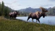 Ключ активации Way of the Hunter 2 - Deluxe Edition для Xbox Series S/X - изображение 4