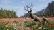 Ключ активации Way of the Hunter 2 - Deluxe Edition для Xbox Series S/X - изображение 6