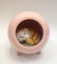 Ночник светильник Котик в домике розовый - изображение 1