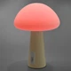 LED лампа настольная с аккумулятором VIDEX VL-TF25BG 4W 3000-6500K+RGB Beige - изображение 10