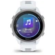 Смарт-годинник Garmin Forerunner 170 Music, GPS, WiFi, Whitestone/Cloud Blue, GPS смарт-годинник (010-03920-11) - зображення 2