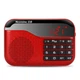 Портативная колонка Newmine N63 с функцией FM-радио Red - изображение 1