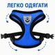 Шлейка-жилет для котов и маленьких собак с поводком, размер M, грудь 30-39 см - синяя - изображение 5