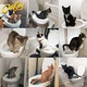 Система привчання котів до унітазу Citi Kitty Cat Toilet Training - зображення 5