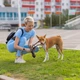 Гигиенические пеленки Purlov 60х90 см 100 шт с пакетами для выгула собак котов поглощающие одноразовые подстилки для животных Бело-синие - изображение 9