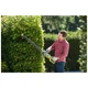 Кущоріз Ryobi RHTRHT8165RL 800Вт, 65см крок різу 34мм, 6кг (5133003649) - изображение 4