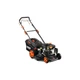 Газонокосарка Grunhelm S461VHY (63744) - зображення 1