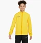 Детская толстовка Nike Dri-Fit Academy 23 128 CM Желтая DR1695-719 - изображение 1