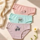 Комплект 3шт трусы слип для девочки хлопок Baykar р 3 122-128 см 5-6 лет арт 5842 - изображение 1