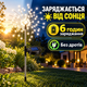 Садовый уличный светильник «Одуванчик» на солнечной батарее, газонный фонарик для освещения двора, сада и террасы, белый свет - изображение 2