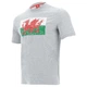 Мужская теплая, плотная футболка Wales WRU Macron размер М - изображение 1