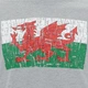 Мужская теплая, плотная футболка Wales WRU Macron размер М - изображение 3