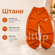Спортивный костюм тройка Оранжевый из двунитки люкс женский комплект кофта топ и брюки, размер 44-46 - изображение 3