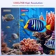 Автомобільний DVD-програвач GOnavidio 12" з входом HDMI, автомобільний телевізор з автоматичним присоском для дисків - зображення 4