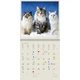 Календар настінний Helma 2027 Cats, 30x30 см (LP01-27) - зображення 4