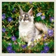 Календар настінний Helma 2027 Cats, 30x30 см (LP01-27) - зображення 6
