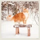 Календар настінний Helma 2027 Cats, 30x30 см (LP01-27) - зображення 7