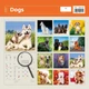 Календарь настенный Helma 2027 Dogs, 30x30 см (LP02-27) - изображение 5