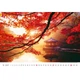 Календарь настенный Helma 2027 New Horizons, 45x31,5 см (N135-27) - изображение 13
